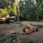 Bras De Quarto em Acomodações Particulares *