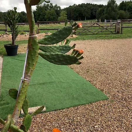 Accommodatie bij particulieren Bras De