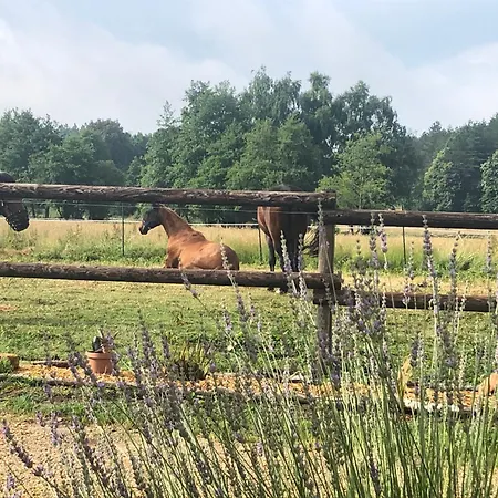 Accommodatie bij particulieren Bras De