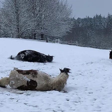 民宿 Bras De Cérans-Foulletourte
