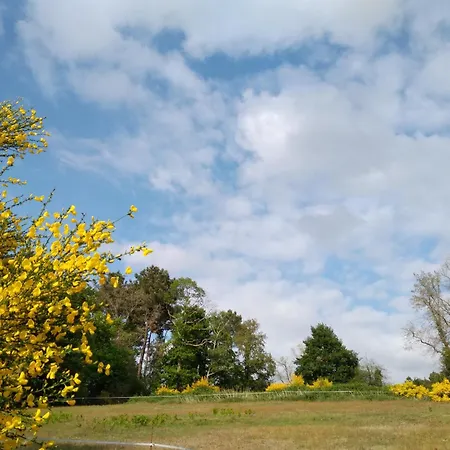 民宿 Bras De Cérans-Foulletourte
