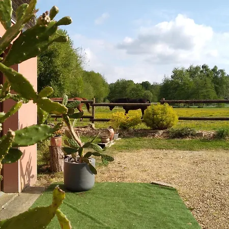 Bras De Homestay szállás *