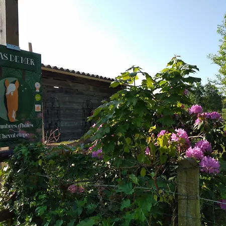 Bras De Rum i privatbostad *