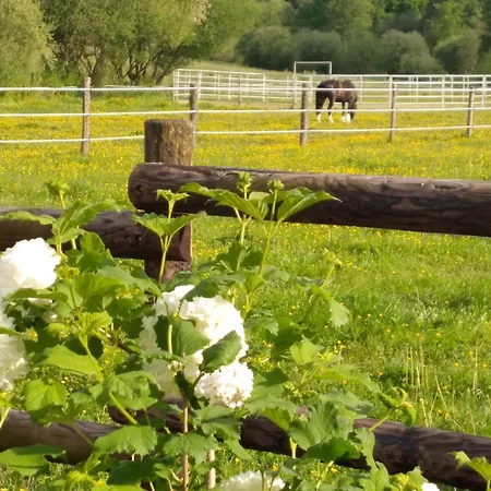 Homestay szállás Bras De Cérans-Foulletourte