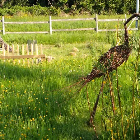 Bras De Homestay szállás Cérans-Foulletourte