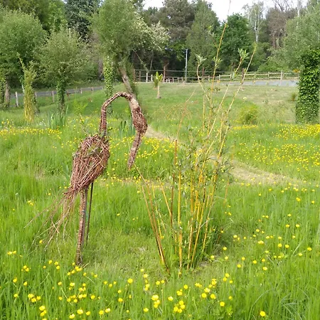Bras De Homestay szállás *