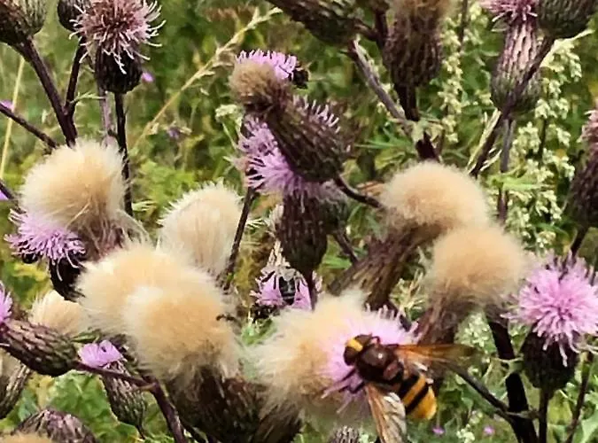 Ubytování v soukromí Bras De