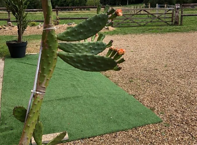 Ubytování v soukromí Bras De