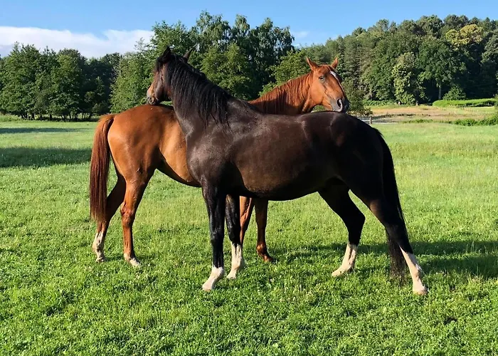 Ubytování v soukromí Bras De *