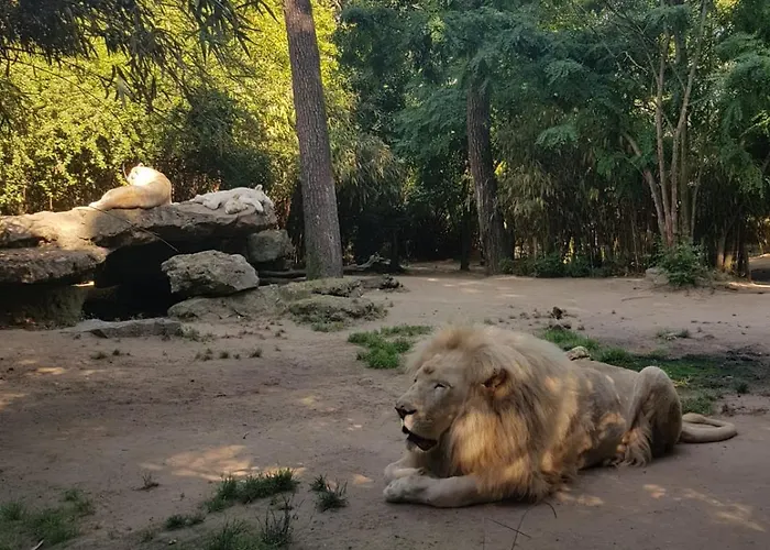 Bras De Ubytování v soukromí *