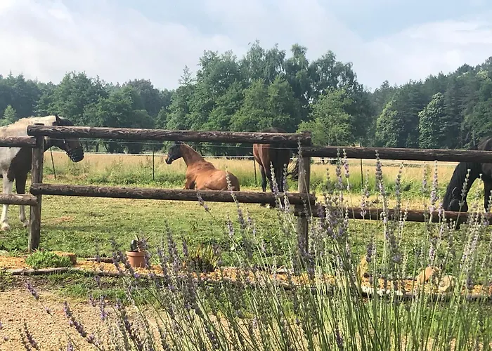 Ubytování v soukromí Bras De