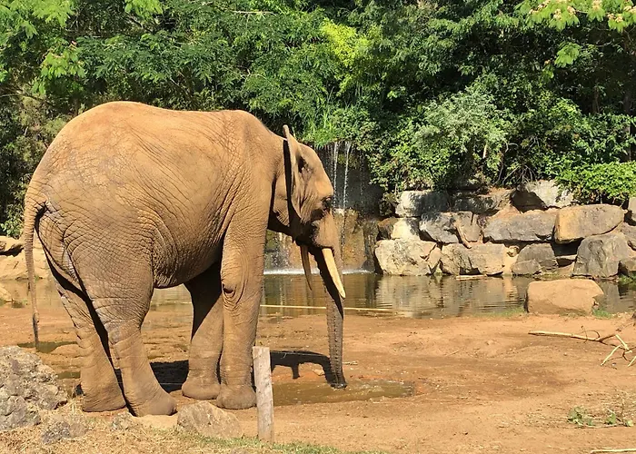 Bras De Ubytování v soukromí *