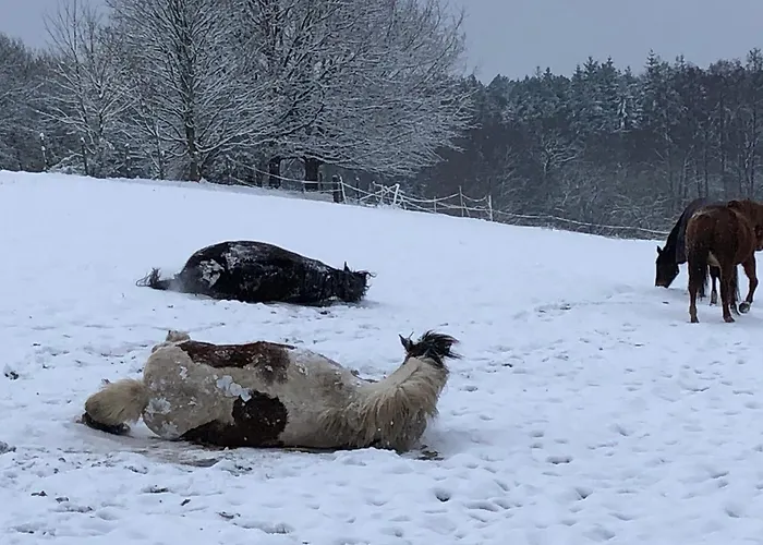Ubytování v soukromí Bras De Cérans-Foulletourte