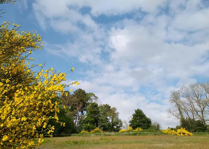 Ubytování v soukromí Bras De Cérans-Foulletourte
