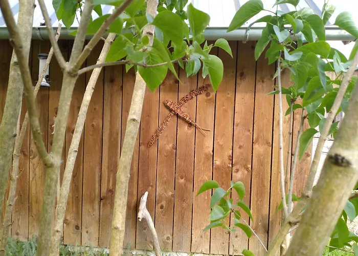 Bras De * Cérans-Foulletourte