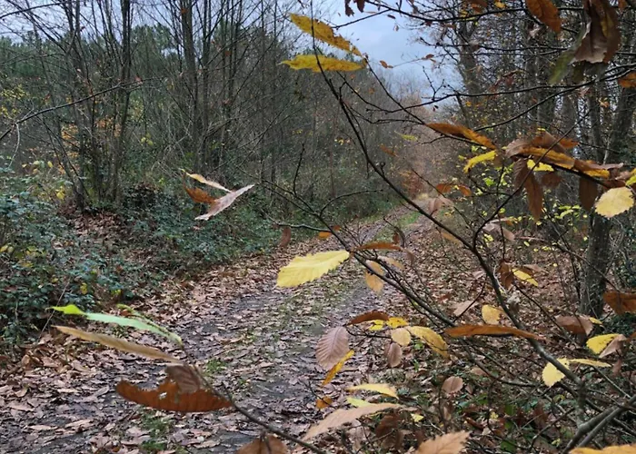 Ubytování v soukromí Bras De