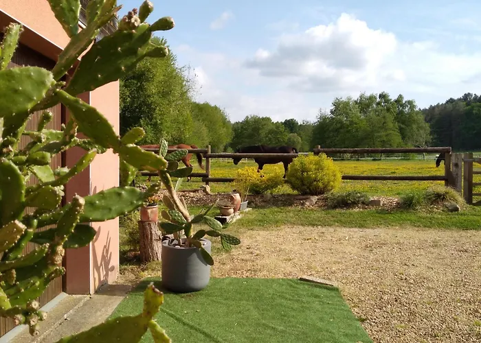 Bras De Ubytování v soukromí *