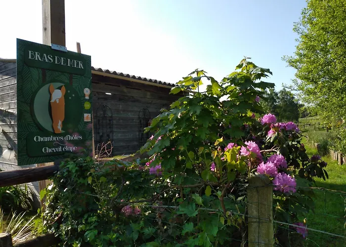 Bras De Ubytování v soukromí *