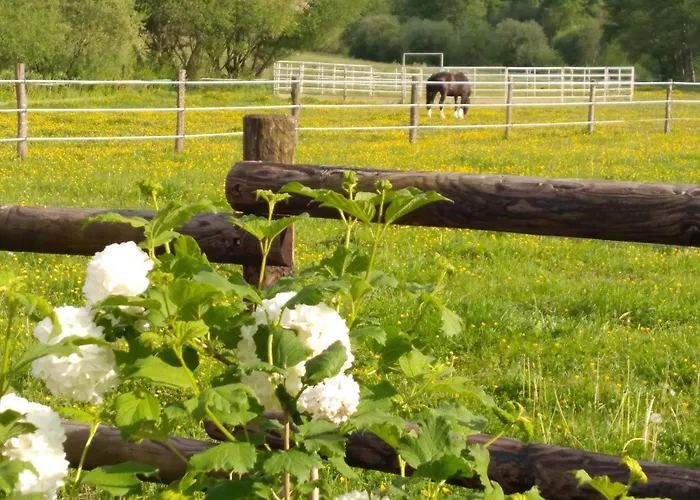 Ubytování v soukromí Bras De Cérans-Foulletourte